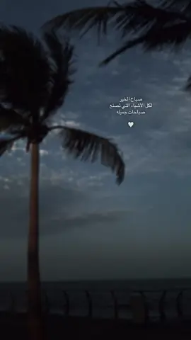 🕊️🍃 #صباح_الخير #نصيحة #جمال_الحياة #الحمدلله_دائماً_وابداً #اقتباسات📝 