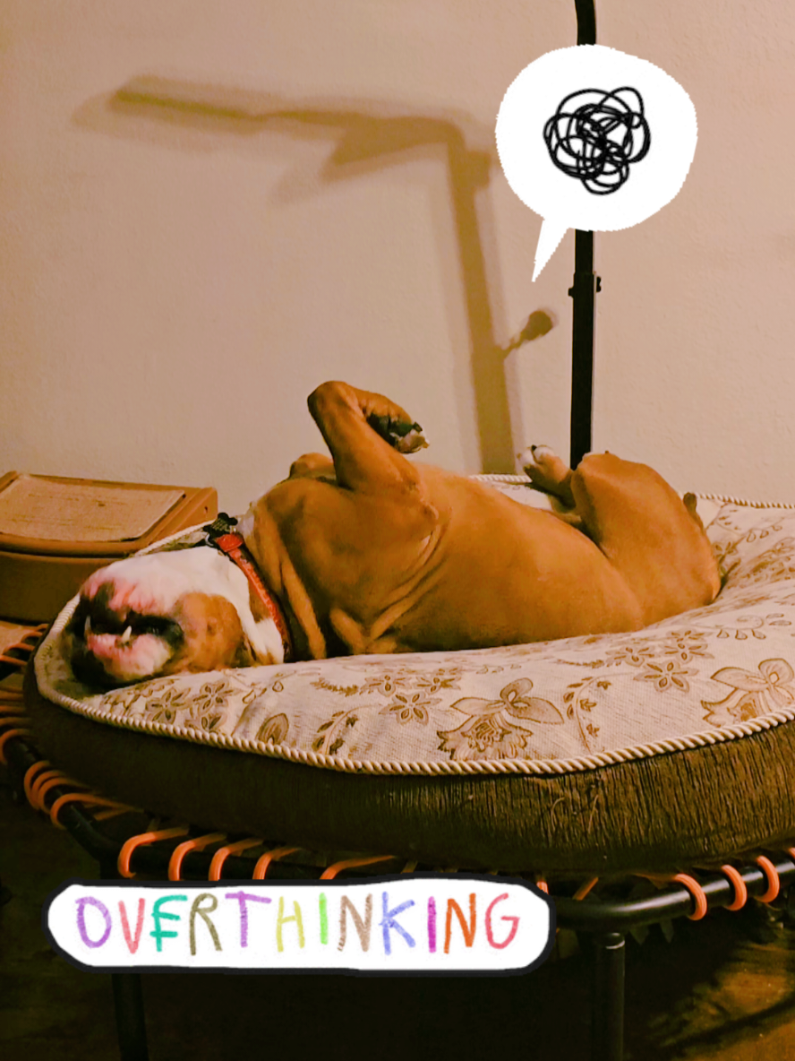 #overthinking #insomnia #dogs #dogsoftiktok #kendricklamar 