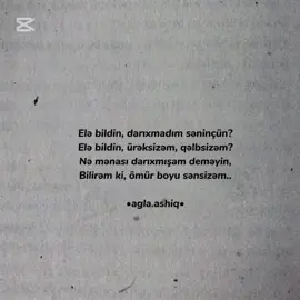 Ömür boyu sənsizəm..❤️‍🩹🥀 #aglaashiq 
