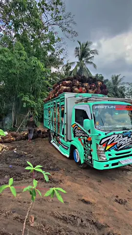 iki pie nek gowo balek😩#videotruk #sawitlampung #drivermuda #supirtruck #fyp