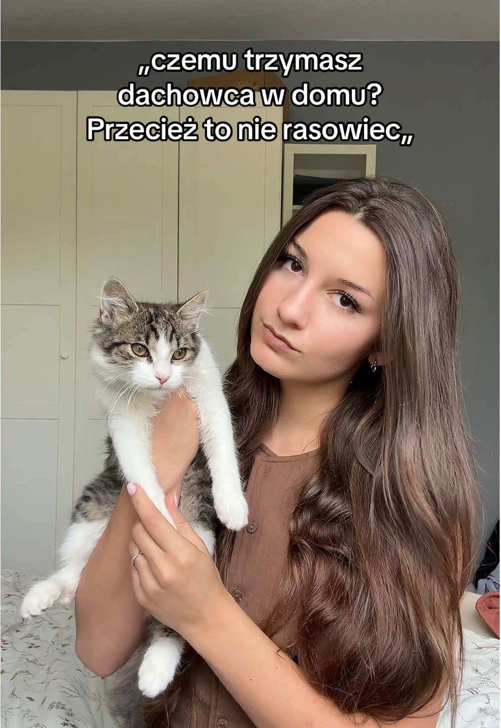Kto jeszcze ma dachowca w domku ? 🥰  #dc #dlaciebie #cat #animalfriends #viral 