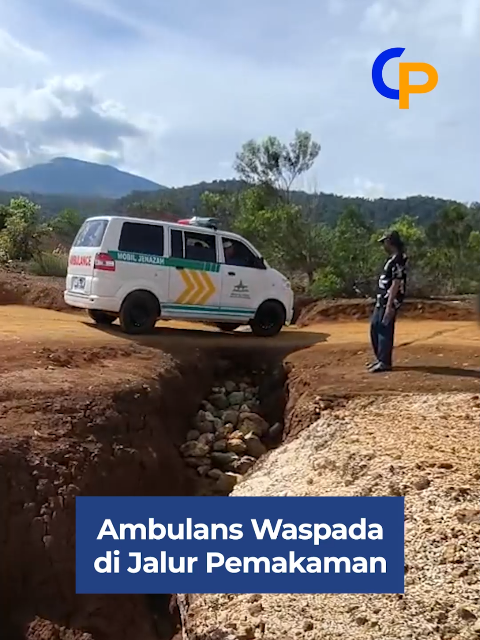 Masyarkat di Kota Jayapura patut berterimakasih atas kebijakan Pemerintah Kota Jayapura karen telah menyediakan lokasi pemakaman yang luas apalagi sekarang diberikan gratis alias tak ada pungutan sama sekali. Hanya saja setelah beroperasi pada Februari 2018, ternyata hingga kini pemerintah belum membuat akses jalan yang representative khususnya menuju titik penguburan. Jalan yang  digunakan langsung besentuhan dengan tanah berwarna kemerahan dan banyak yang bergelombang. Posisinya tidak rata lantaran menjadi jalur air. Akibat kikisan air ini, ada yang berlubang namun ada juga yang menganga dengan lebar 2 meter lebih. “Agak mengkhawatirkan sih karena ternyata ada lubang yang cukup lebar, bisa satu mobil langsung masuk jika terperosok,” ujar Ali, salah satu peziarah saat ditemui, Jumat (29/8/2025).  Untuk melintas di sini memang harus pelan dan ekstra hati-hati karena space yang bisa dipake hanya untuk satu kendaraan sehingga harus bergantian. BACA SELENGKAPNYA: https://www.ceposonline.com/kota-jayapura/1996503695/jalan-di-jayapura-ini-bikin-deg-degan-mobil-pembawa-jenazah ——— Berlangganan Koran Cenderawasih Pos ☎️ 0812-4803-531 Follow us on Social Media (link on bio) Instagram: @CeposTV & @Cenderawasihposreal Facebook: @Cenderawasihpos TikTok: @cenderawasihposreal . . . . #cepos #papua #beritapapua #cenderawasihpos #jayapura 