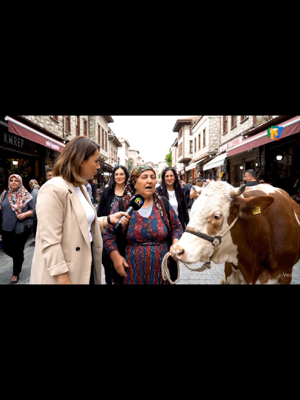 kocam da kocam #yapayzekahayvanlar #yapayzeka #yapayzekafotograf #yapayzekabebekkonustur #yapayzekavideo 