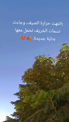 #متابعه_ولايك_واكسبلور_فضلا_ليس_امر #تصميم_فيديوهات🎶🎤🎬 #فيديهات_متنوعه😜🤟__ 