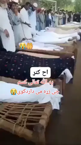#پښتون_تاجیک_هزاره_ازبک_زنده_باد🇦🇫 #افغانی_تیک_تاک 
