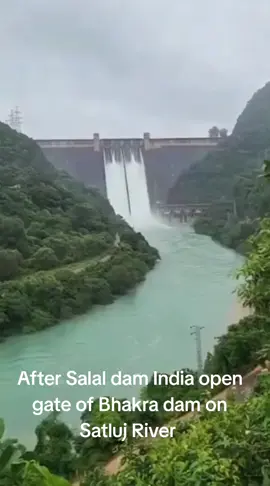 #bhakradam #satlujriver #indianopendam #safetyalert #prayforpakistan 