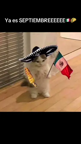 Es primero de Septiembre a las 00:00 yo en corto: 🇲🇽🥳🪅#mexico🇲🇽 #septiembre #primerodeseptiembre #vivamexico #mexicantiktok 