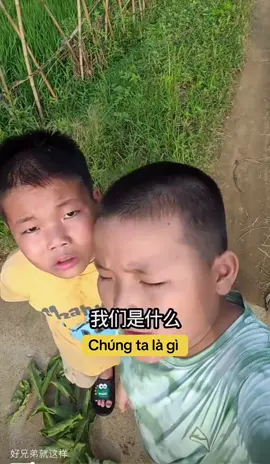 好兄弟🙏 #xh  #中文  #video  #hàihước  #