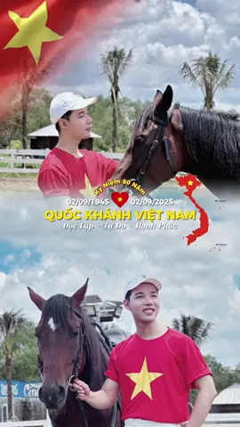 🇻🇳 