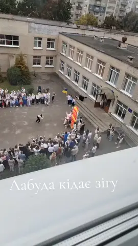 Лабуда нападає