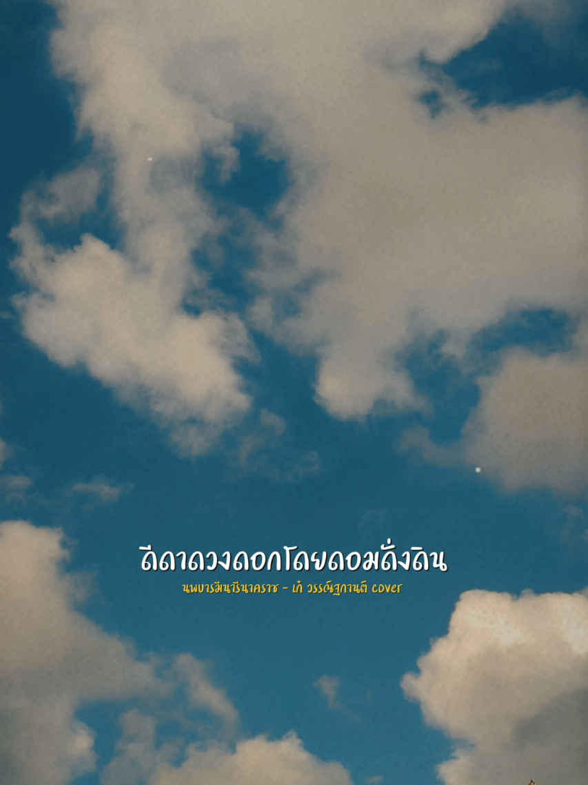 #CapCut #นพบารมีนารีนาคราช #เก๋วรรณ์ฐกานต์ cover #เงยคอ_สตอรี่ #สตอรี่ความรู้สึก 