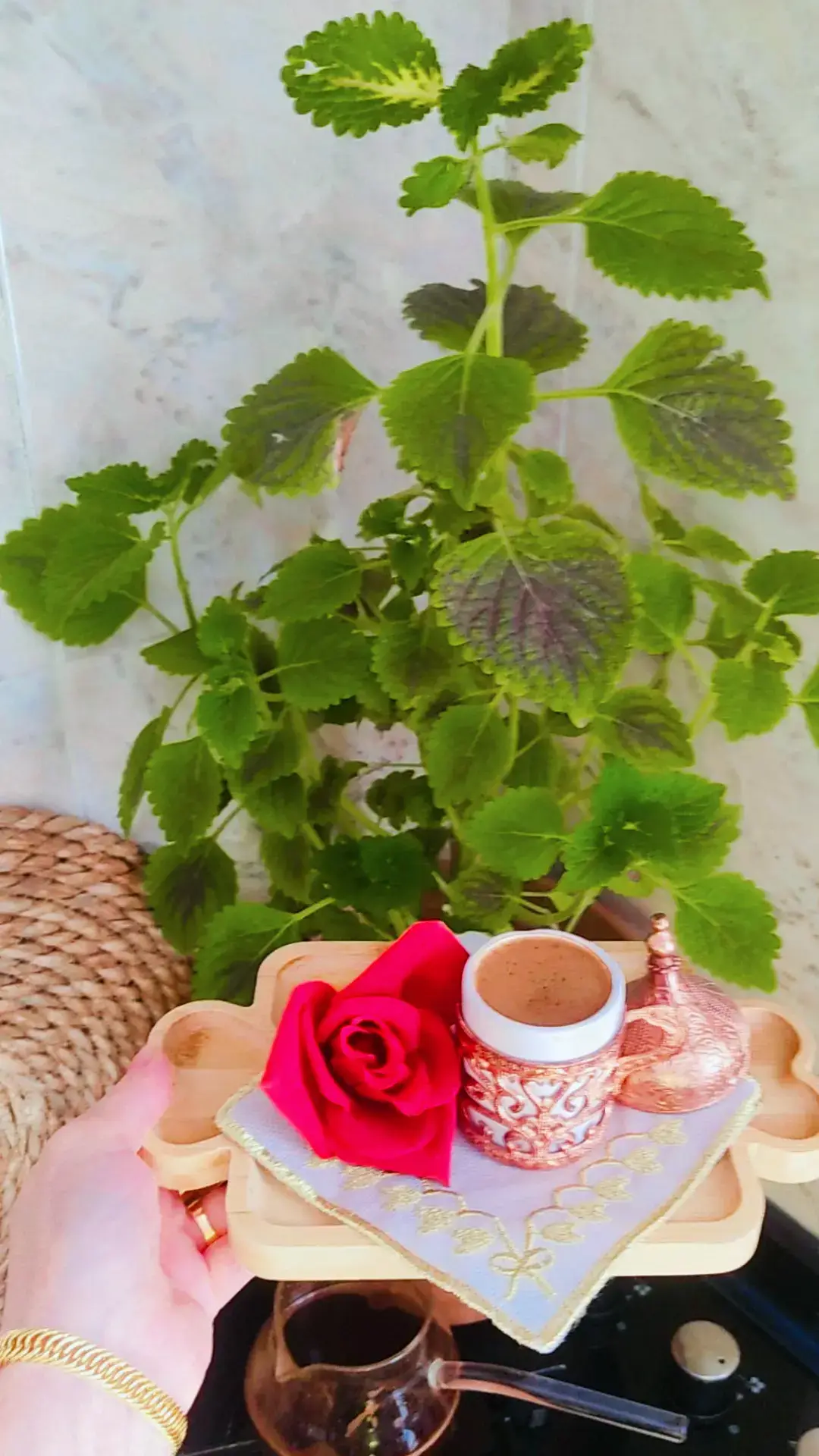 #صباح_الخير #صباحكم_سعادة_لاتنتهي❤⚘ #فيروز_و_فنجان_قهوة #فيروزات_الصباح #تصويري_احترافي_الاجواء👌🏻🕊😴 