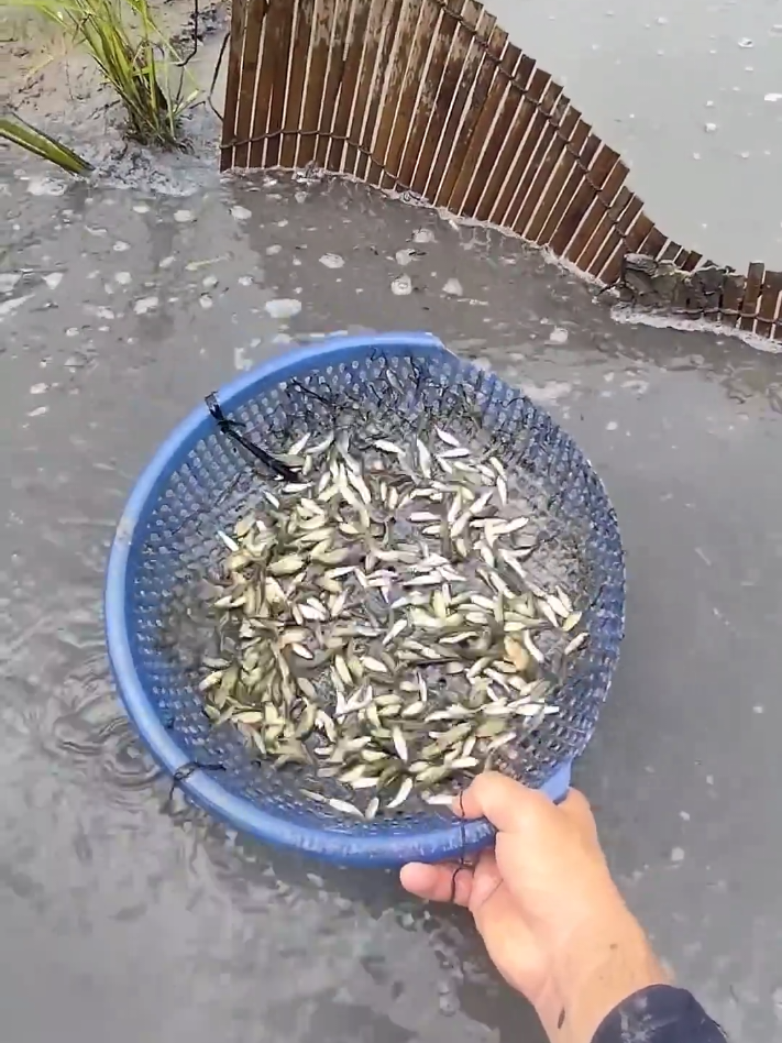 #bigfish #fishing #fishingtiktoks #fishingtips #fishinglife 