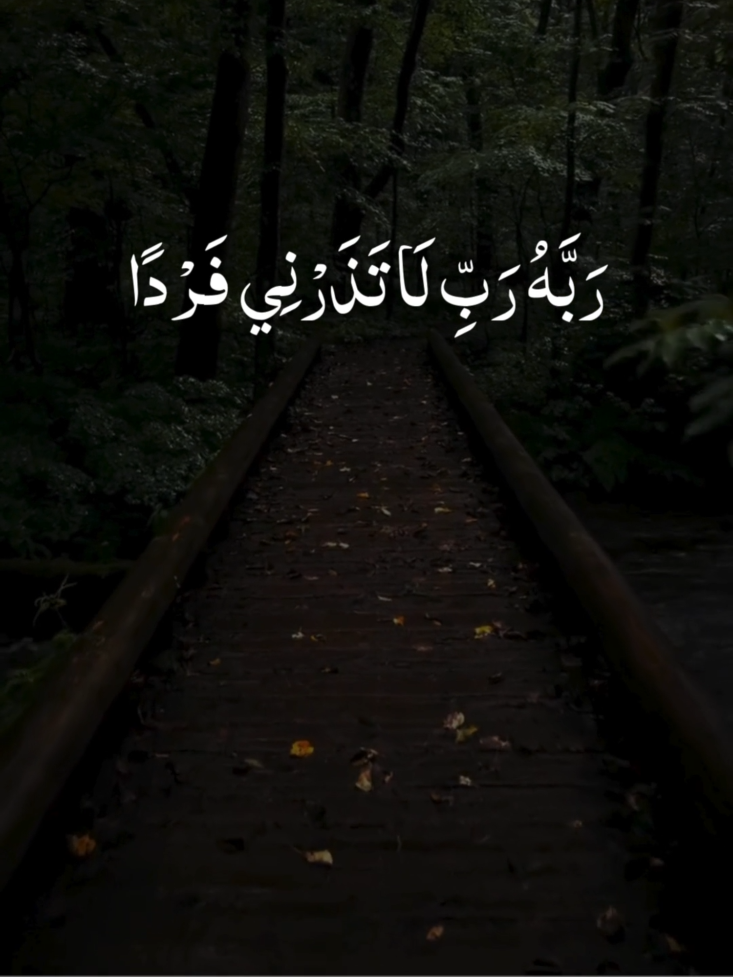 وَزَكَرِيَّا إِذْ نَادَىٰ رَبَّهُ  Surah Al Anbiya Ayat 89 #virale #quran_alkarim #قران #fpy