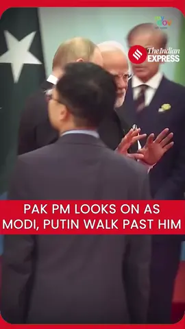 the Indian🇮🇳