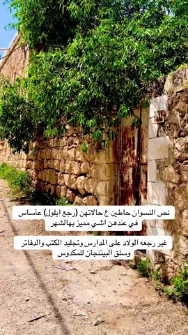 وصباح الخيرات..🤍 #جنين #فلسطين #explore #foryou #نابلس 