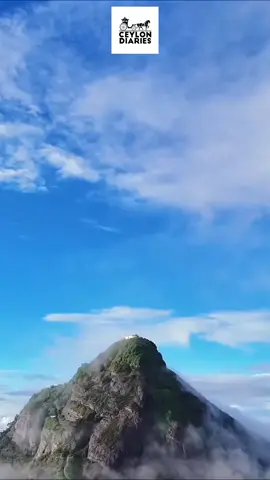 Sri Padaya/ Adam's Peak - Srilanka 🙏 #adamspeak #sripadaya #news #travel #ancient #buddha #beautiful #sunrise #sunset 