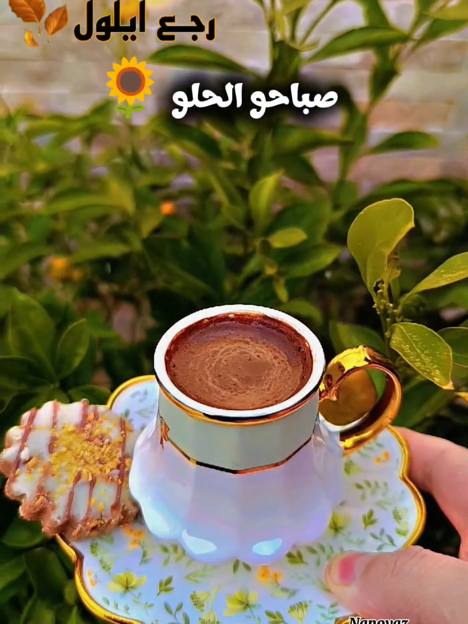 #CapCut #صباحو #رجع_ايلول #قهوتي #تصويري 