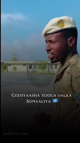 Haa taliye#daljir_01 #somalia #turkisom #cxds 