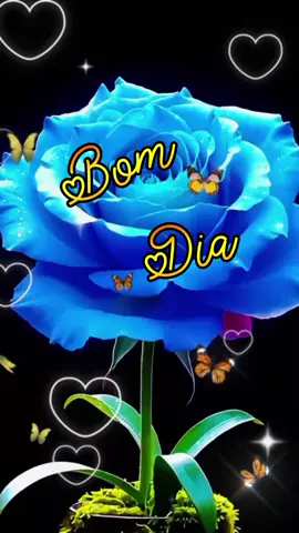 bom dia com alegria e carinho 🥰 🤩 🌺 🌹 