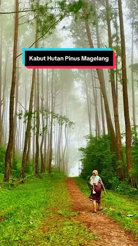 Mlampah Menembus Kabut Hutan Pinus Magelang 🌲🌲🌿❤️😍#mlampah2_57 #kabut #hutanpinus #magelangexplore #wisatahutanpinus 