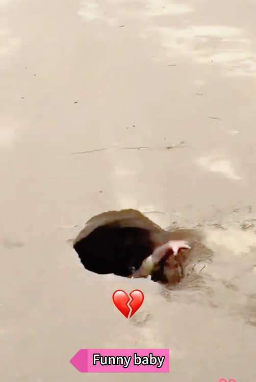 Spreading happiness every day #fyp #funnyvideos #funnymoments #funnybaby #funny #usa #funnytiktok #babiesoftiktok 