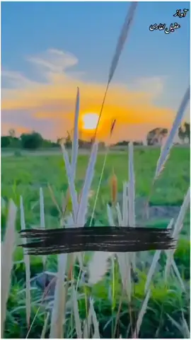 #*غمخوار اگے الویندا نئی 🤕💔* *میکوں لوک اہدن تیڈا یار آگئے🙏*#vfypviral🖤tiktok☆♡🦋myvideotiktok☆♡🦋 #plzviralmyvideotiktok🙏❤️lovehridoy Saraki saair please tiktok team #vfypviral🖤tiktok☆♡🦋myvideotiktok☆♡🦋 #plzviralmyvideotiktok🙏❤️lovehridoy #viral 