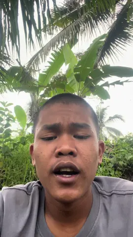 Auuu