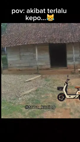 🗿#memekucing #kucinglucu #comedy #fypシ゚viral 