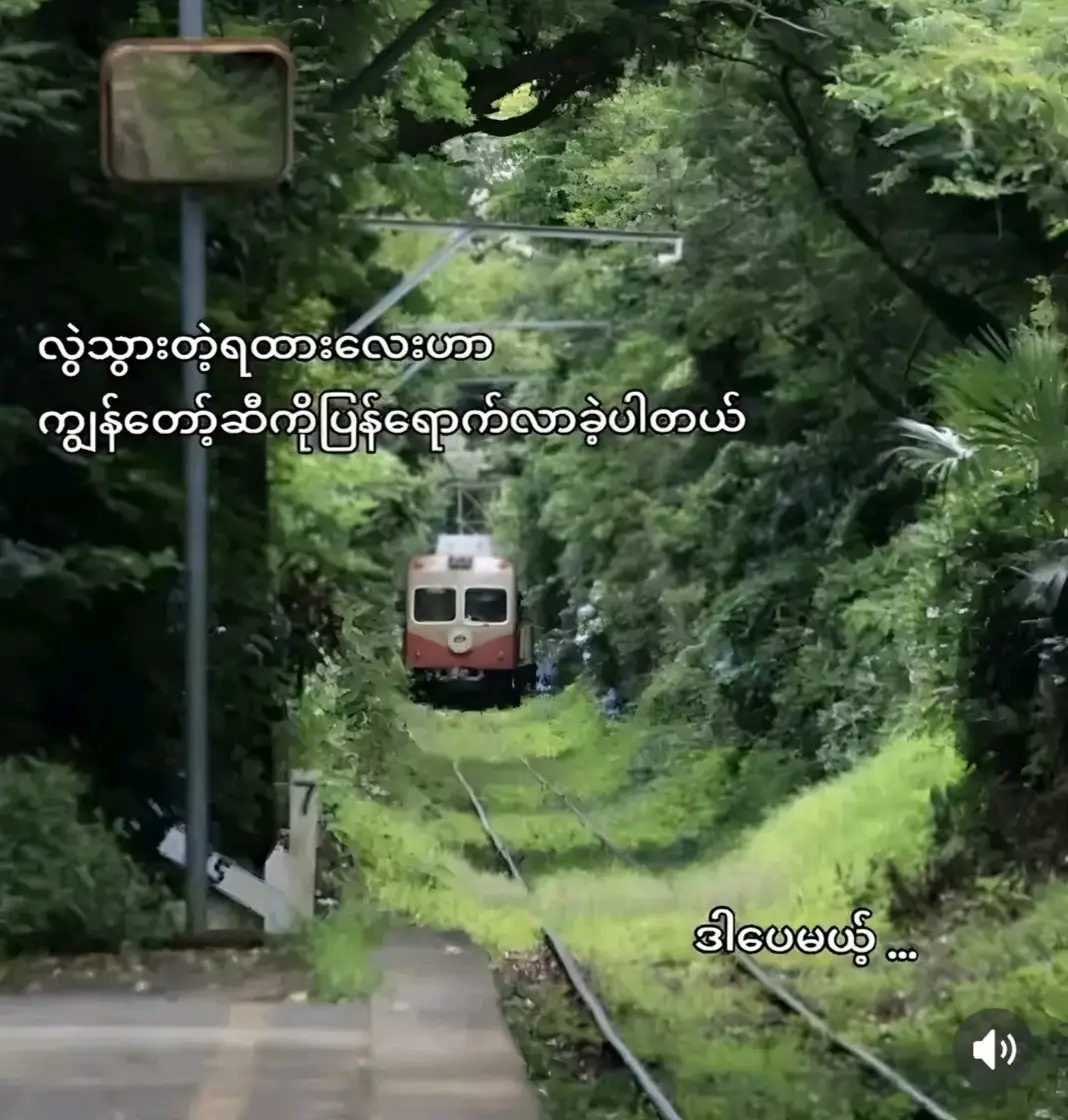 #aww #fbyツ #ပြန်လာပီနော် #ဖိတ်စာလေးနဲ့အတူ💌🥲🥀 #ကျေးဇူးတင်ပါတယ်လို့🙂🙂 