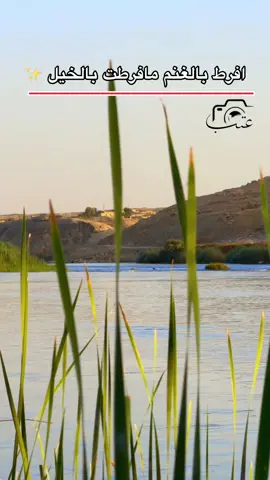 #تصويري📸اكسبلوور♥️🙂📸اكسبلوور #تصويري_احترافي_الاجواء👌🏻🕊 #قناتي_تليجرام_بالبايو💕🦋 