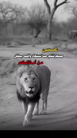 #صباح_الخير #تصميم_فيديوهات🎶🎤🎬تصميمي🔥 #اكسبلور 