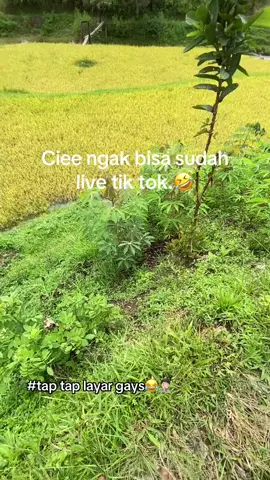 tap tap layar Ki dulu gays🤣🤣#live #tiktok 