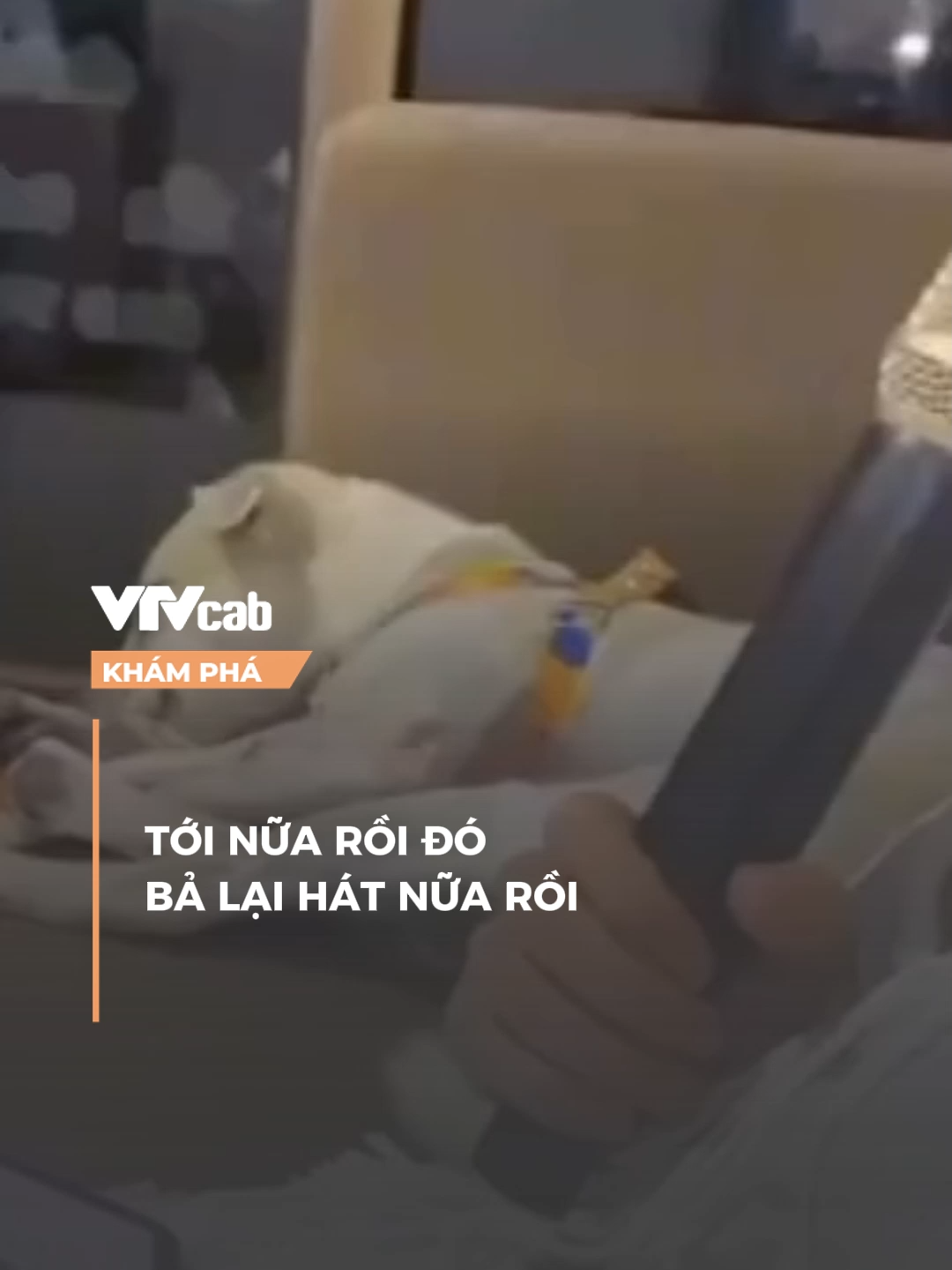 Ánh mắt không biết nói dối #vtvcab #khampha #vtvcabkhampha #onlive #nxt