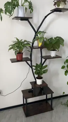 Limited deal! Get this plants stand before it’s gone! #plantstand #indoorplants #plantlovers #plantobsessed #planthome 