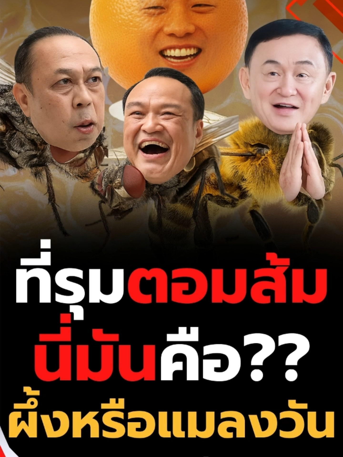 ที่รุมตอมส้ม นี่มันคือ?? ผึ้งหรือแมลงวัน (01/09/68) #news1 #ข่าวtiktok #news1 #ภูมิใจไทย #พรรคประชาชน#เพื่อไทย #พรรคร่วมรัฐบาล