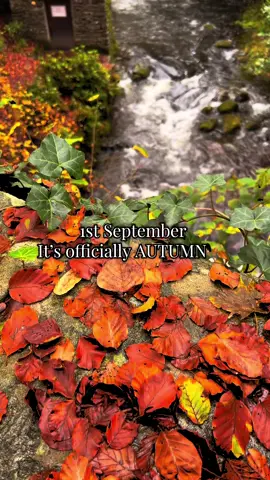 🍂 Hello, September skies and autumn vibes #autumn #september 