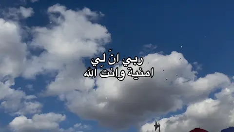 #قصائد_حسينيه 