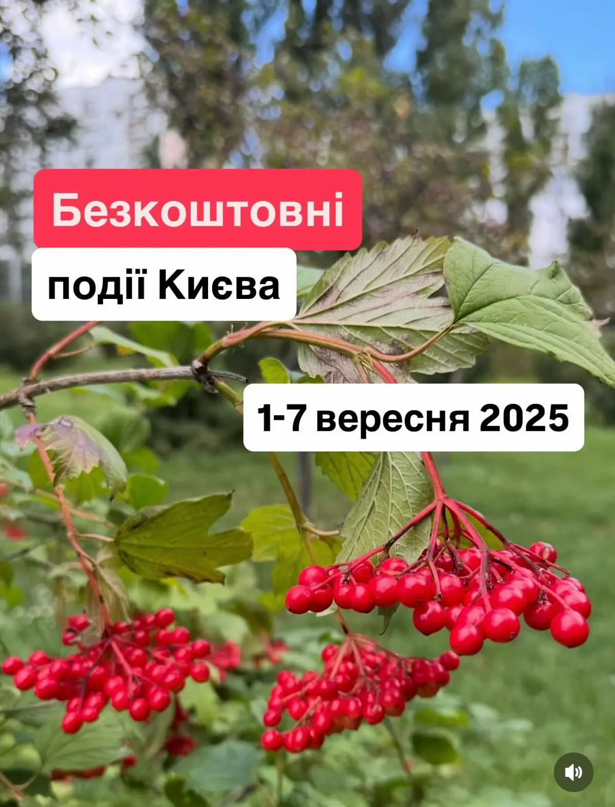 1 вересня 🕛 17:00 святковий концерт «Знаки зірок». Вул.Євгена Коновальця 36, ауд.406 2 вересня 🕛 9:00 - 18:00 «Електроспектива» в Unit.city. Захід присвячений електромобілям. Потрібна реєстрація 🕛 19:00 - поетичний вечір Юлії Кашпуренко у книгарні «Є» . Вул.Лисенко, 3 3 вересня 🕛 10:30-17:30 безкоштовний день у Музеї Ханенків. Вул.Терещенківська 15-17 4 вересня 🕛 19:00 відкриття виставки «Віддзеркалення» Романа Романишина у галереї «Білий світ». Вул.Євгена Чикаленка, 21а. 5 вересня 🕛 12:00 - безоплатна екскурсія «Батиєва гора». Гід: Олександр Михайлик. Зустріч біля школи #60, вул.Романа Ратушного 1/2 🕛 18:00 - відкриття виставки “Duo” Ольги Копелевої та Олени Боримської в галереї Imagine point. Голосіївський пр. 86/1 🕛 фестиваль Японська осінь, КПІ. Розклад буде опублікований на сторінці Українсько-Японського центру КПІ 6 вересня 🕛 12:00 - 20:00 — День народження Андріївського узвозу. Повний розклад на сторінці ГО «Андріївський узвіз» у ФБ 🕛 13:00 виступ капели Ревуцького на Дні народженні Андріївського узвозу біля Андріївської церкви 🕛 18:00 концерт просто неба «Класика схилами Дніпра», парк Володимирська гірка 🕛 продовження Фестивалю Японська осінь 7 вересня 🕛 18:00 виступ Військового оркестру Най.університету оборони України на балконі Андріївської церкви 🕛 18:00 творчий вечір памʼяті актора Євгена Шумілова, театр ім.Франка, камерна сцена. Вул.Ольгинська, 2 🕛 продовження Фестивалю Японська осінь #кудипітикиїв #події #анонс #виставка 