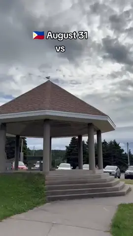 #fypシ #tiktok 