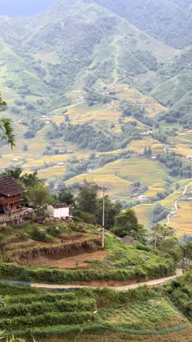 Khung cảnh trong mơ …#happy #canhdep #chill #sapa #healing 