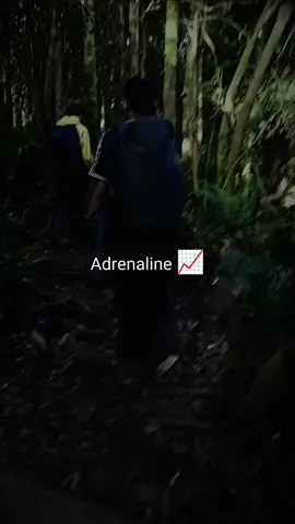 #adrenaline #sedangviral #fyp #dong #gunungtalang2597mdpl 