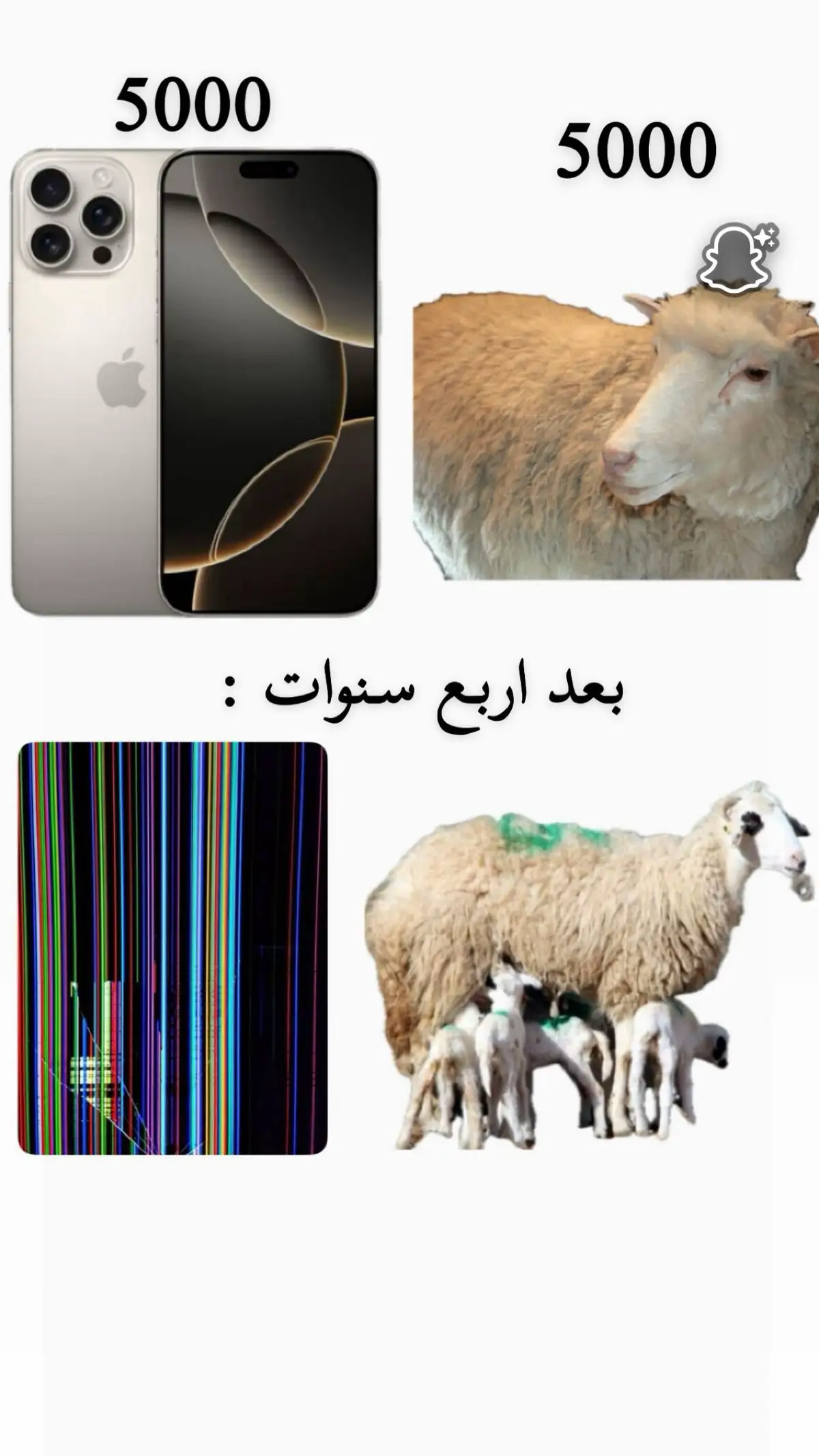 #مالي_خلق_احط_هاشتاقات  #الشعب_الصيني_ماله_حل😂😂 #سوُن_الشريف #fyp 