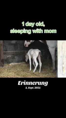 #erinnerung 