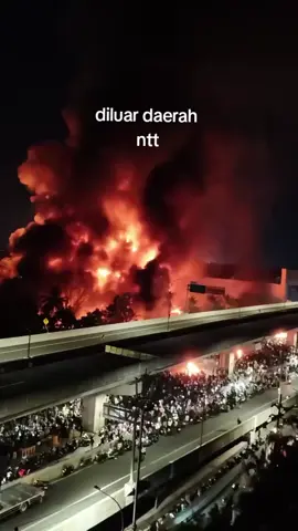 diluar demo di NTT gacor #nttpride🏝🔥gacor #fyppppppppppppppppppppppp 