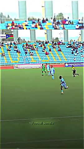 Mala xasustaa🇸🇴 @Abdirahiim Mohamed daahir 🇸🇴  #Ahmednor #horseedsc 