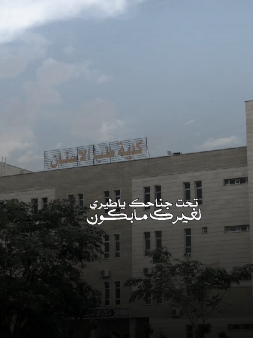 #طب_اسنان✨🦷 #كلية_طب_الاسنان #CapCut #ترندات_تيك_توك #مالي_خلق_احط_هاشتاقات 