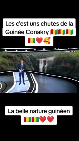 #creatorsearchinsights #guineenne224🇬🇳 