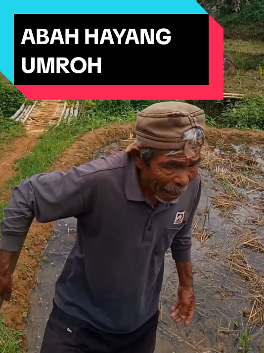 ABAH HAYANG UMROH VIRAL#foryou #fypシ゚viral #viraltiktok #hiburan 