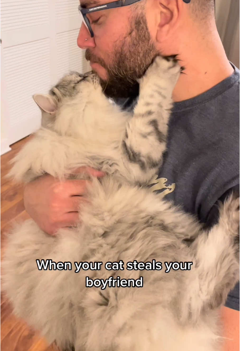 Cat robbed my man😭 #foryou #catlover #cat #foryoupage #fyp #funnyvideos #puppy #cute #kitten #cutecat 